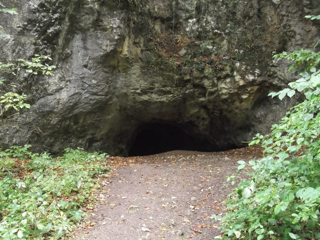Attraction Image